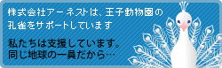 王子動物園の孔雀をサポートしています